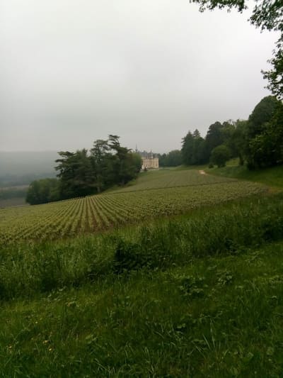 Brittany 2018 – From John and Angie Fox-Spencer, December 2018: photo 83 of 227