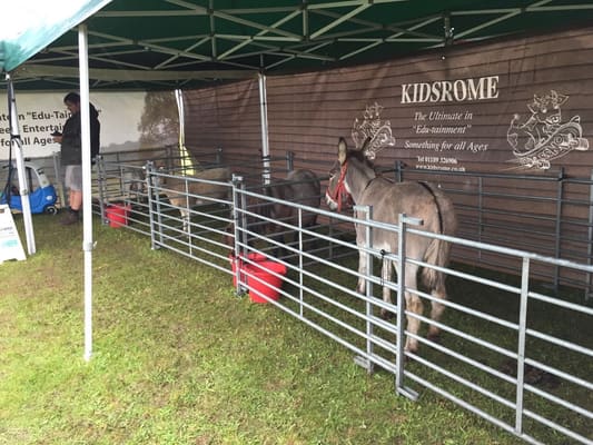 Starlight Charity Day at Popham Airfield, May 2019: photo 8 of 20