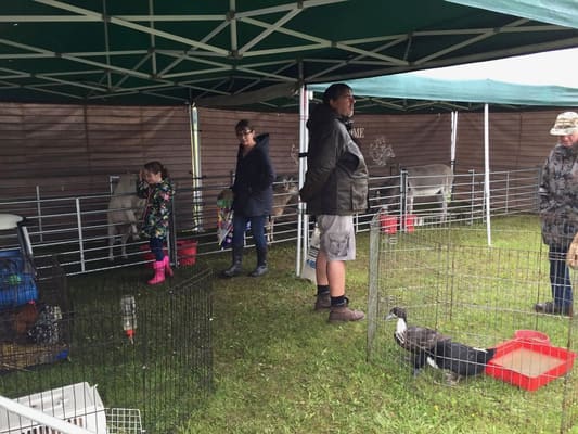 Starlight Charity Day at Popham Airfield, May 2019: photo 11 of 20