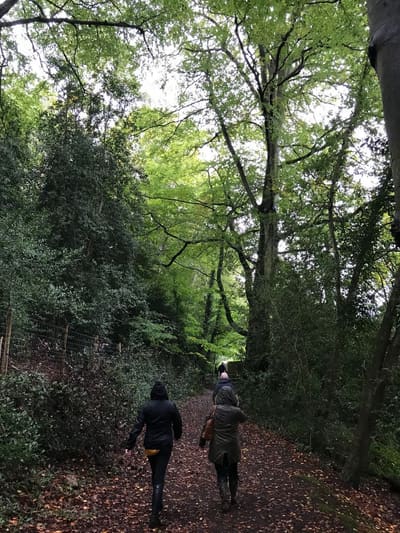 Malcolm and Jan's Drive out Day October 2019, October 2019: photo 10 of 29