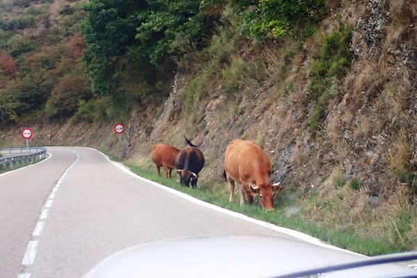 Northern Spain Road Trip, October 2022: photo 28 of 404