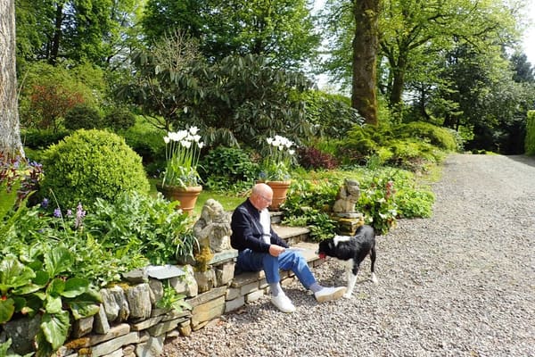 Scottish Borders, June 2023: photo 13 of 70