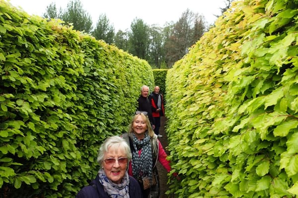 Scottish Borders, June 2023: photo 65 of 70