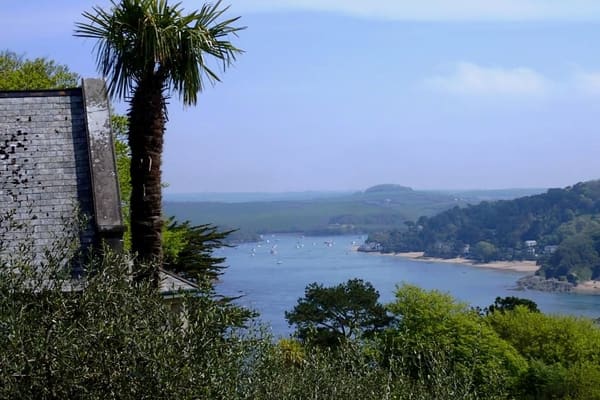 Devon, July 2024: photo 10 of 42