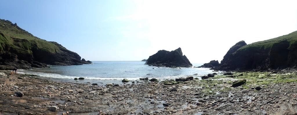 Devon, July 2024: photo 36 of 42