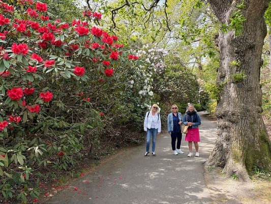 Drive it Day – Exbury Gardens, April 2026: photo 11 of 26