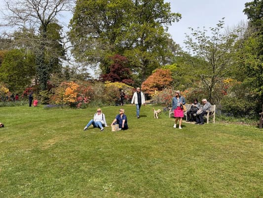Drive it Day – Exbury Gardens, April 2026: photo 18 of 26