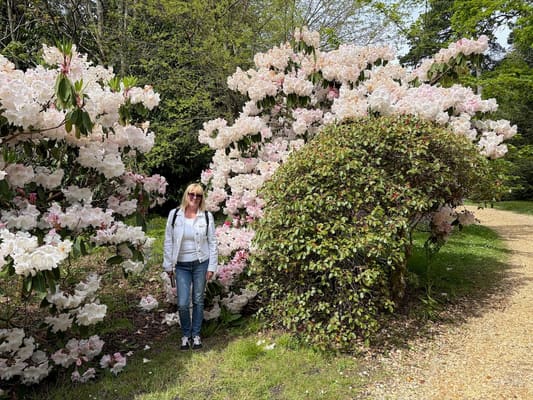 Drive it Day – Exbury Gardens, April 2026: photo 24 of 26