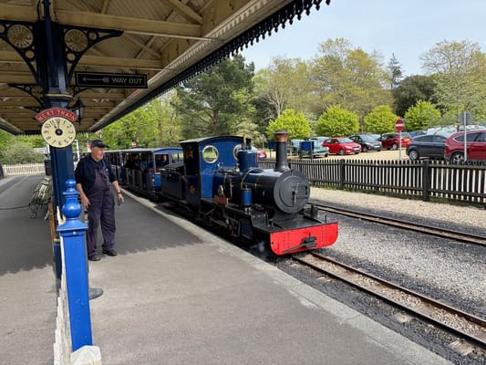 Drive it Day – Exbury Gardens, April 2026: photo 26 of 26